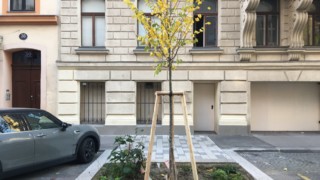 LA21-8_Baeume_Strozzi-Nov20_5