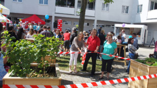 P6100034