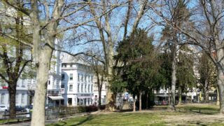 20200401_130456_halbhalb