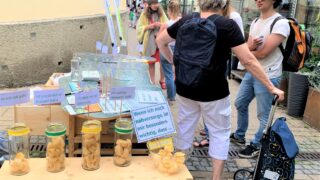 BO_Kutschker_IMG_7107