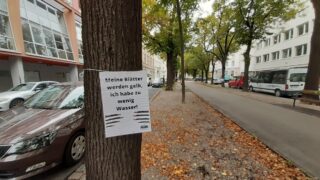 Blaetter werden gelb_Burjanplatz