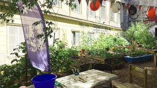 Ferienspiel_Salatpiraten_2HP