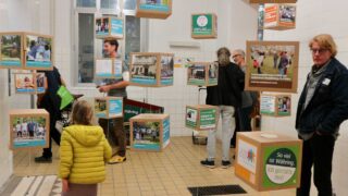 IMG_1668_edited