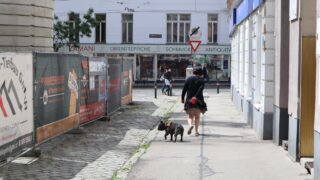 IMG_1724