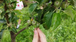 IMG_20230526_112523