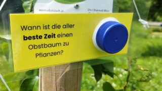 IMG_20230526_113348