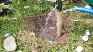 IMG_20230526_121640