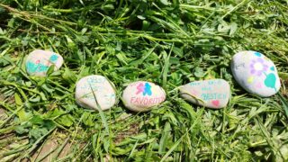 IMG_20230526_123005