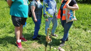 IMG_20230526_123119