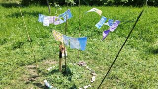 IMG_20230526_130053