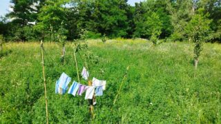 IMG_20230630_092155