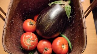 IMG_20231007_193810
