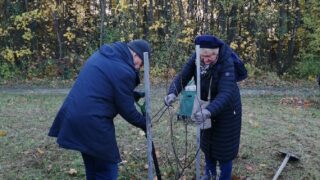 IMG_20231121_092454