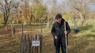 IMG_20231121_100127
