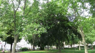 IMG_5674
