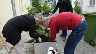 NeubepflanzungTröge_FlorianWagner_1HP