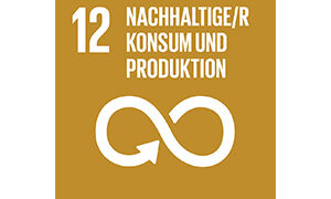 SDG-icon-DE-12-kl