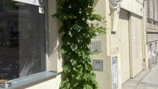 VB_Burggasse_1_HP