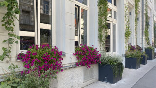 VB_Zieglergasse25_2_HP