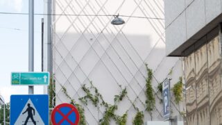 fassadenbegrünung_2