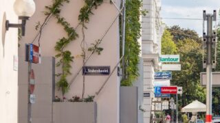 fassadenbegrünung_8