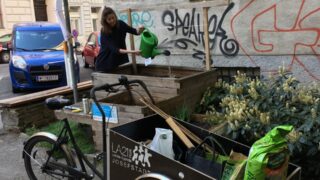 hochbeet Lastenrad