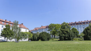 vhw_cw_trafik_23_17 Kopie
